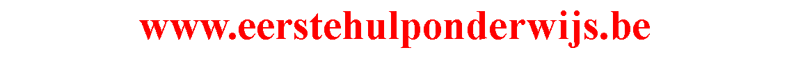 Tekstvak: www.eerstehulponderwijs.be